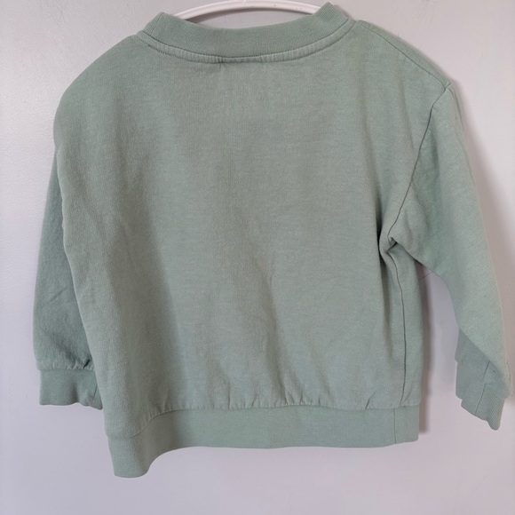 Patagonia Toddler 2T Organic Cotton Mountain Graphic Sweatshirt - Sage Green - Picture 4 of 5
